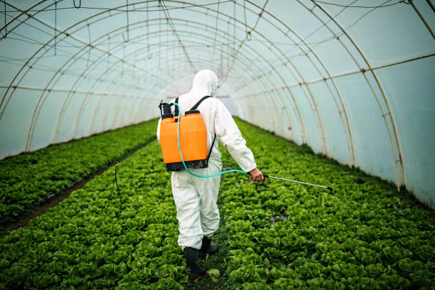 Best Best Pest Control Companies  in Fox Point, WI