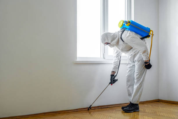 Best Best Pest Control Companies  in Fox Point, WI
