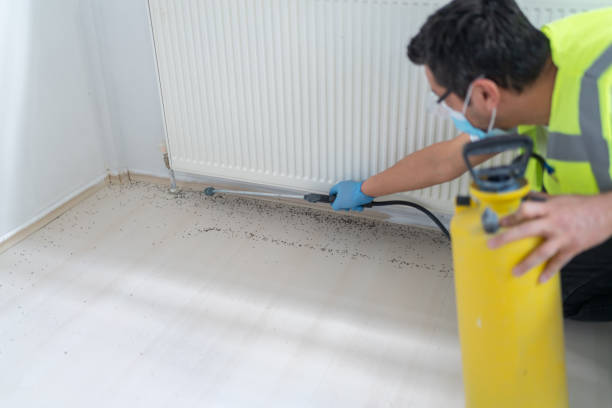 Best Pest Inspection Near Me  in Fox Point, WI