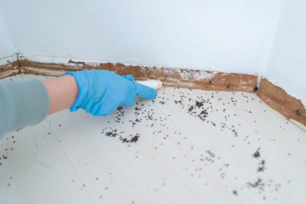 Best Best Pest Control Companies  in Fox Point, WI